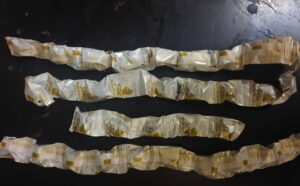 ದಾಂಡೇಲಿಯಲ್ಲಿ ಏನಿದು ಮೇವಾ ಮೋದಕ್?