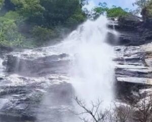 ಅಭಯಾರಣ್ಯದಲ್ಲಿ ಸಾಹಸ: ಐವರ ವಿರುದ್ಧ ಕೇಸ್!