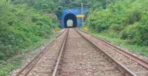 ಅಪಘಾತದಲ್ಲಿ ಸತ್ತ ಕಡವೆ ಮಾಂಸ ಕದ್ದೊಯ್ದ ಶಂಕೆ?
