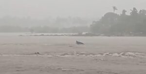 ಮಳೆ-ಗಾಳಿಯ ಅಬ್ಬರಕ್ಕೆ ದೋಣಿ ಪಲ್ಟಿ!