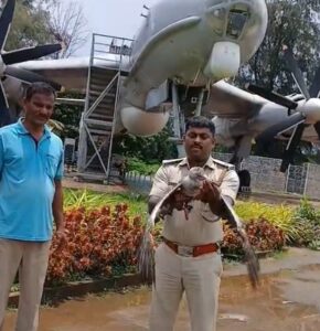 ಆಕಾಶದಿಂದ ಇಳಿದ ಅಪರೂಪದ ಅತಿಥಿ!