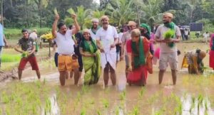 ಕೆಸರುಗದ್ದೆಯಲ್ಲಿ ಮೆರೆದ ಕೃಷಿ ಸಂಸ್ಕೃತಿ: ಸಂಭ್ರಮದ ನಾಟಿ ಹಬ್ಬ!