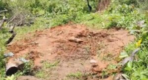 ಕಾನಗೋಡಿನ ಕಾನನದಲ್ಲಿ ನಡೆದಿದ್ದೇನು? ವಾಮಾಚಾರದ ಶಂಕೆಯಿಂದ ಬೆಚ್ಚಿಬಿದ್ದ ಗ್ರಾಮಸ್ಥರು!