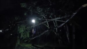 ಕೇರವಾಡದಲ್ಲಿ ಮರದ ಕೊಂಬೆ ಬಿದ್ದು ರಸ್ತೆ ಬಂದ್