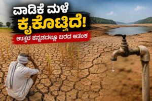 ಉತ್ತರ ಕನ್ನಡದ ಈ ತಾಲೂಕು ಬರಪೀಡಿತ!