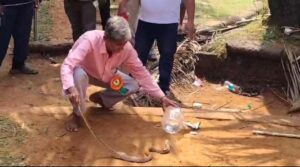 ಬಾಲಕನಿಗೆ ಹಾವು ಕಡಿತ!